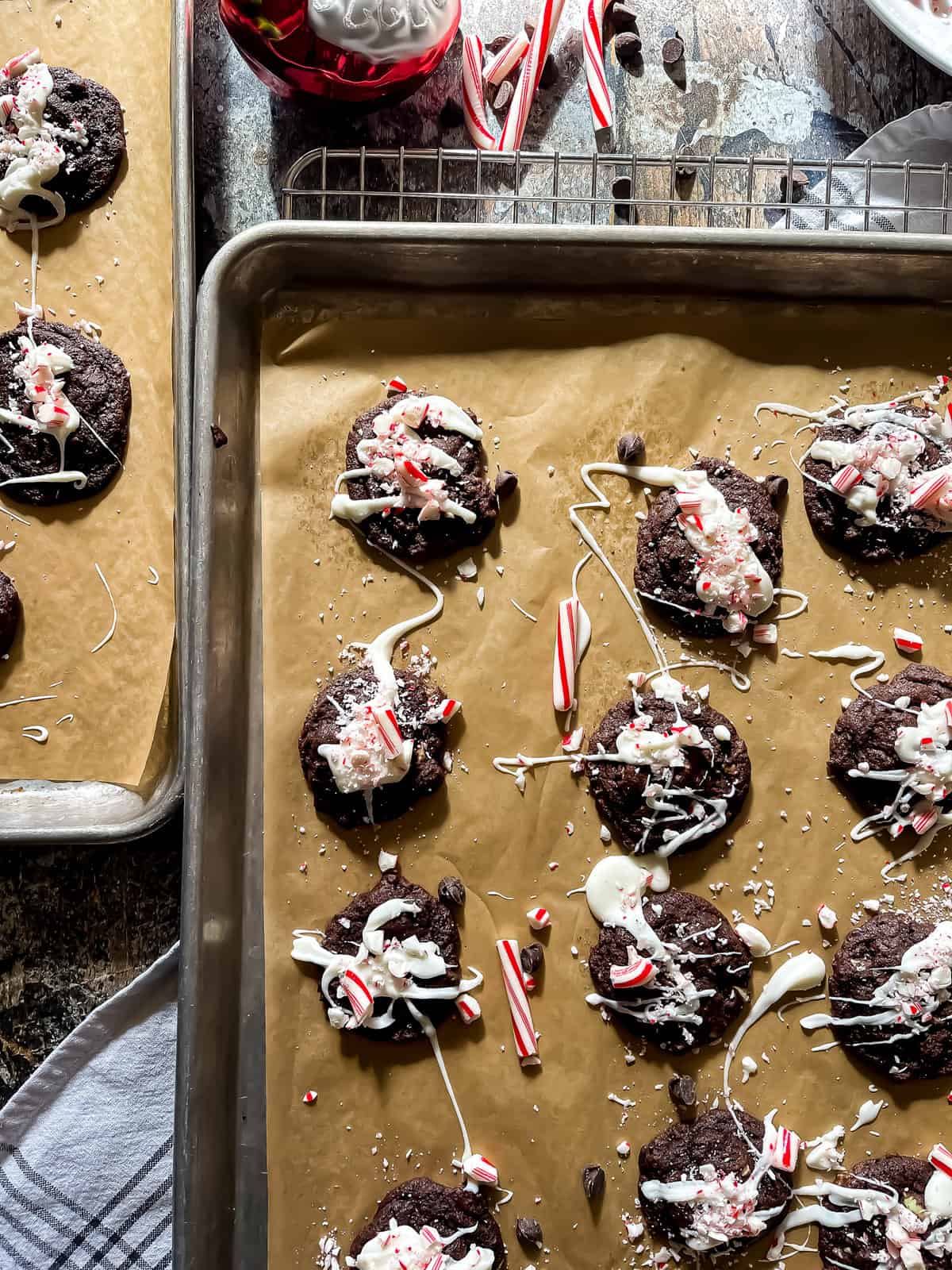 chocolate cookies with peppermint